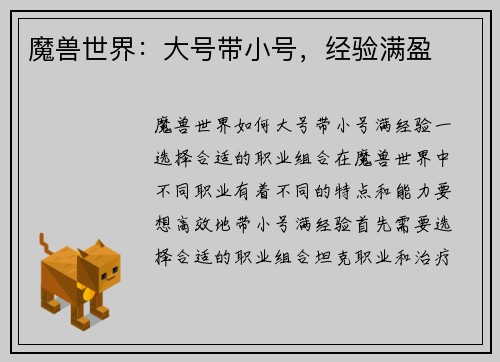 魔兽世界：大号带小号，经验满盈